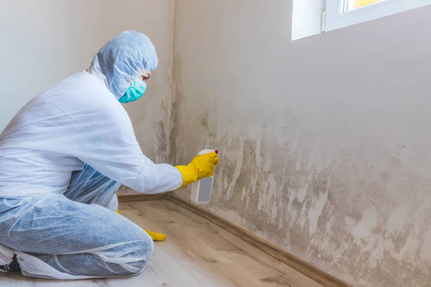Licensed Mold Remediation service in Forest City, NC - 24 Hour Mold Removal