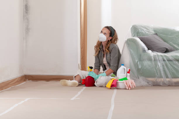 Reliable Mold Remediation contractor in Forest City, NC by 24 Hour Mold Removal