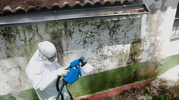 Top rated local Mold Remediation specialists in Forest City, NC